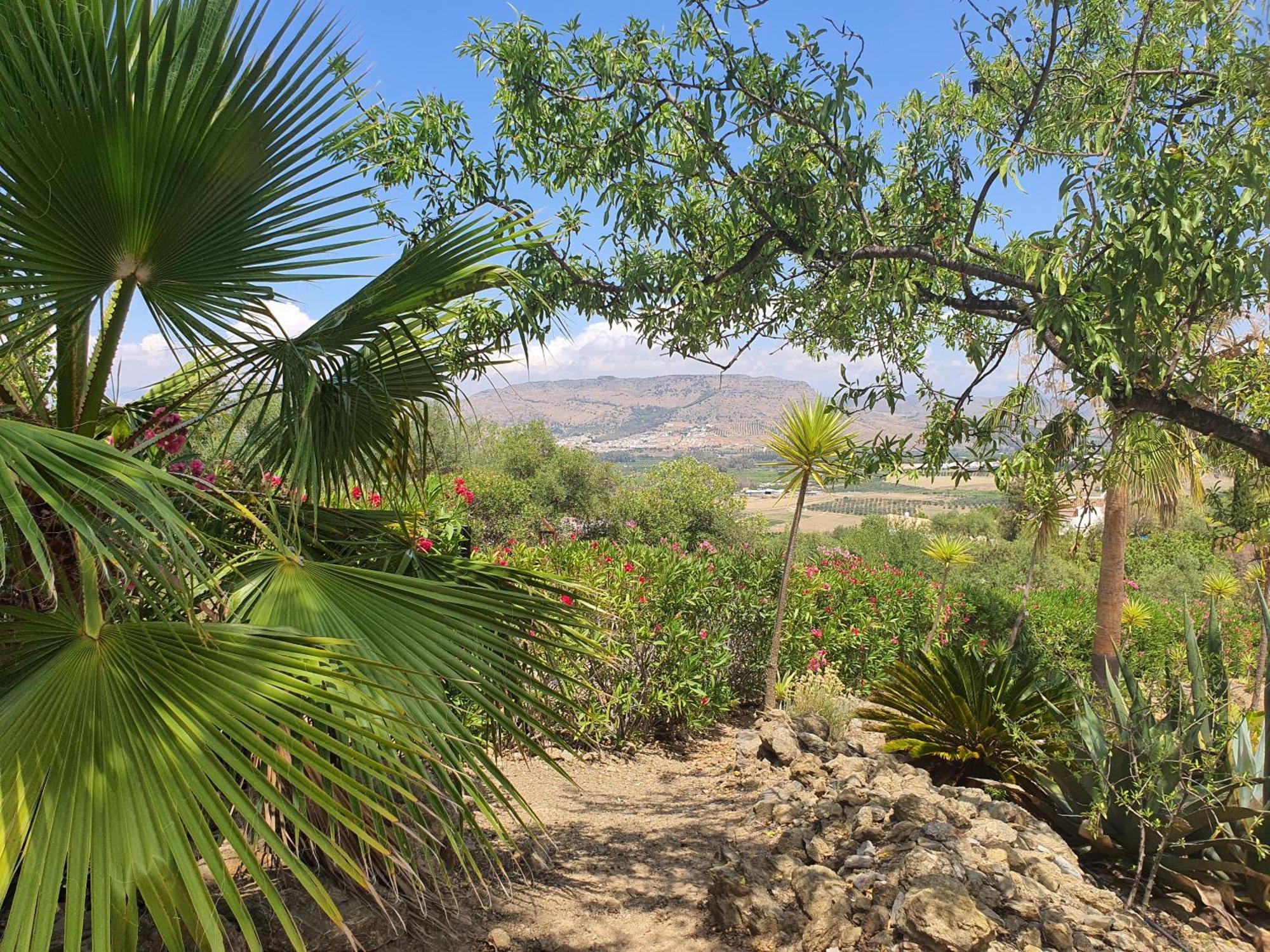 Finca Flamenco Holiday Suites Adults Only Pizarra Ngoại thất bức ảnh
